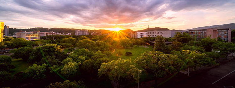 学校全景